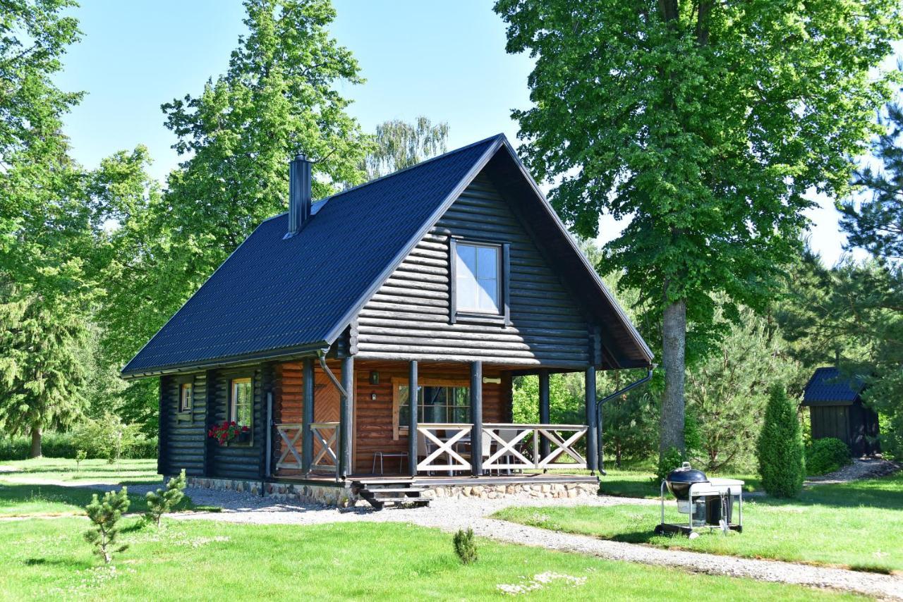 Vila Loreta - Namelis Su Pirtimi Dudoryne Buitenkant foto