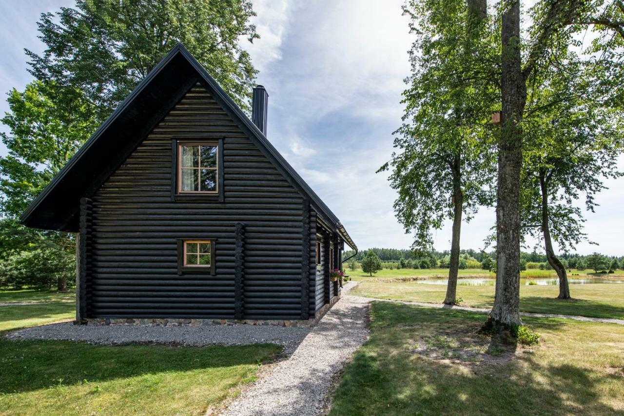 Vila Loreta - Namelis Su Pirtimi Dudoryne Buitenkant foto